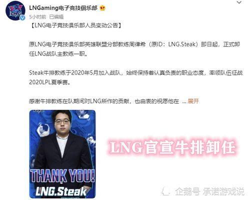 知名博客牛泪最新爆料,揭秘知名博主最新动态