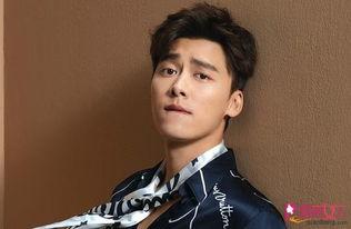 爆料视频李易峰最新,爆料视频揭示神秘事件  第3张 爆料视频李易峰最新,爆料视频揭示神秘事件  第3张