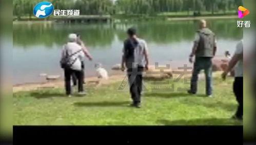 郑州七中爆料事件视频最新,真相与争议交织的教育漩涡  第3张 郑州七中爆料事件视频最新,真相与争议交织的教育漩涡  第3张