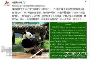 熊猫村最新爆料大赛,揭秘神秘事件,竞猜大奖等你来拿!  第3张 熊猫村最新爆料大赛,揭秘神秘事件,竞猜大奖等你来拿!  第3张