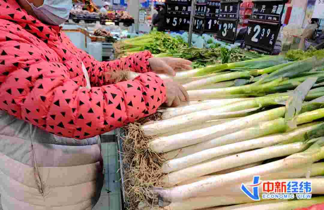 济南大葱价格最新爆料,最新市场行情揭秘  第2张 济南大葱价格最新爆料,最新市场行情揭秘  第2张