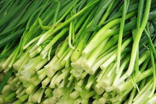 原神最新爆料韭菜,神秘韭菜助力角色成长,探索游戏新玩法  第3张 原神最新爆料韭菜,神秘韭菜助力角色成长,探索游戏新玩法  第3张